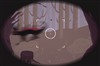 An eerie, one button game. Try to snag a clear photo of the mysterious creature known as the Hodag. This bauble is created by Erik van Wees and Molly Heady-Carroll from Arcane Circus.