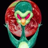 Alien Embed A Free Action Game