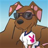 This cute puppy needs to be dressed up in lots of fun outfits !
