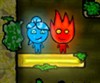 Help FireBoy and WaterGirl in their adventure! Control both characters at the same time to solve platformer puzzles! \r\nActivate buttons and levers to move platforms, push boxes and roll balls, collect all the diamonds and get each character to his door!

