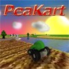 Peakart A Free Driving Game