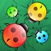 Make group of same beetles by drawing shapes on them. There are 7 interesting levels in this game. Draw minimum shapes to catch maximum beetle for getting Gold score. Must aware of special beetles, whether they are helpful or dangerous!