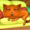 Sisi might be such an adorable, playful, cheerful kitty, but she sure isn`t a very... organized kitty! What do you say about stepping into Sisi`s messy room and using your detective skills, instead of your cleaning skills, to make it look so very neat and sparkly clean once again?
