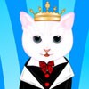Dress up this cute model of a white kitty. Drag and drop the various clothes, accessories, and hair onto your character to dress up and make them look their best.
